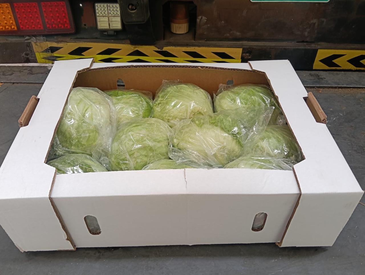 How Garlico-ZR Ensures Product Quality